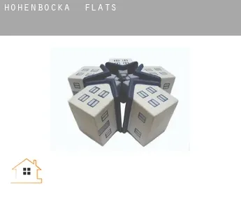 Hohenbocka  flats