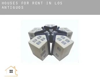 Houses for rent in  Los Antiguos