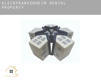 Kleinfrankenheim  rental property