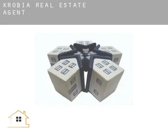 Krobia  real estate agent