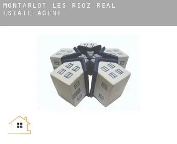 Montarlot-lès-Rioz  real estate agent