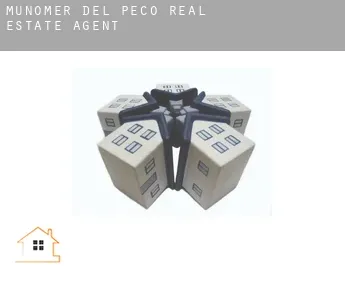 Muñomer del Peco  real estate agent