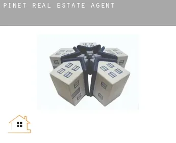 Pinet  real estate agent