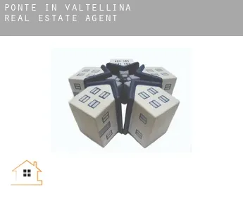 Ponte in Valtellina  real estate agent