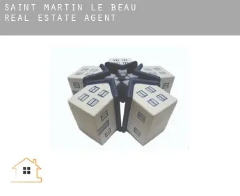 Saint-Martin-le-Beau  real estate agent