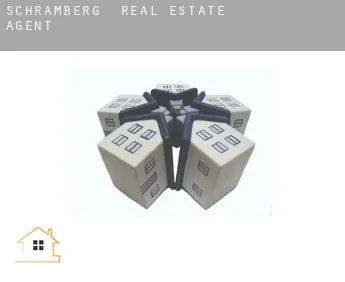 Schramberg  real estate agent