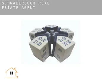 Schwaderloch  real estate agent