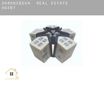 Shronebeha  real estate agent