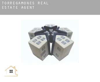 Torregamones  real estate agent