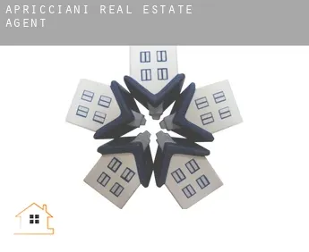 Apricciani  real estate agent