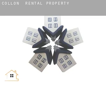 Collon  rental property