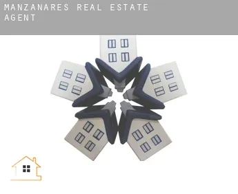 Manzanares  real estate agent
