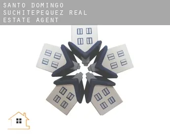 Santo Domingo Suchitepéquez  real estate agent