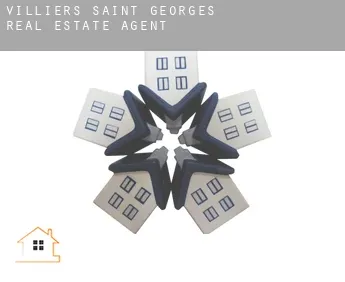 Villiers-Saint-Georges  real estate agent