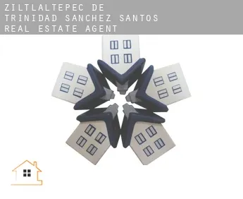 Ziltlaltepec de Trinidad Sanchez Santos  real estate agent