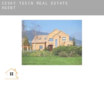 Český Těšín  real estate agent