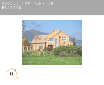 Houses for rent in  Balocco
