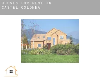 Houses for rent in  Castel Colonna