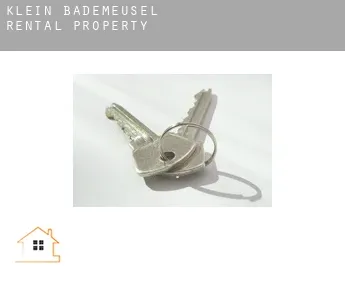 Klein Bademeusel  rental property