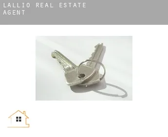 Lallio  real estate agent