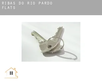 Ribas do Rio Pardo flats