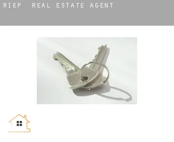 Riep  real estate agent