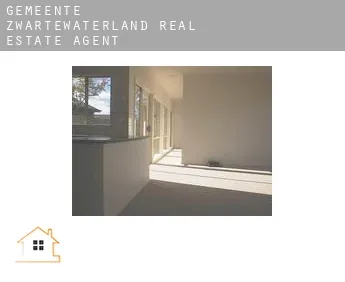 Gemeente Zwartewaterland  real estate agent