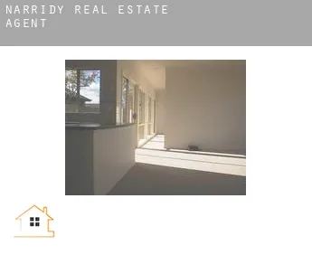 Narridy  real estate agent