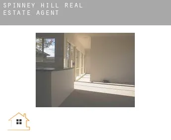 Spinney Hill  real estate agent