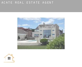 Acate  real estate agent