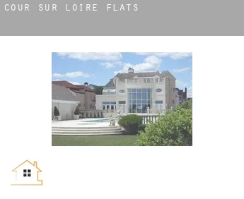 Cour-sur-Loire  flats