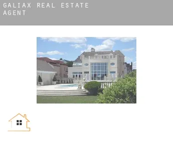 Galiax  real estate agent