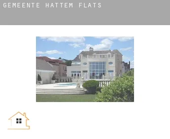 Gemeente Hattem  flats