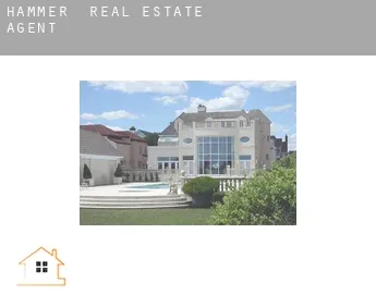 Hammer  real estate agent