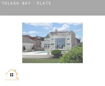 Tolaga Bay  flats