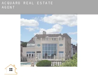 Acquaro  real estate agent