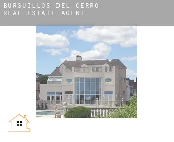 Burguillos del Cerro  real estate agent