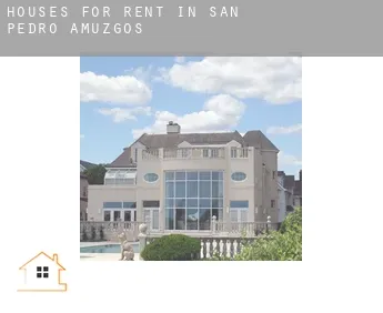 Houses for rent in  San Pedro Amuzgos