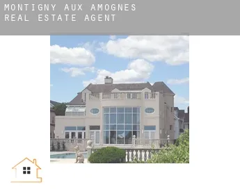 Montigny-aux-Amognes  real estate agent