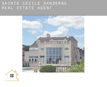 Sainte-Cécile-d'Andorge  real estate agent