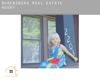 Borensberg  real estate agent