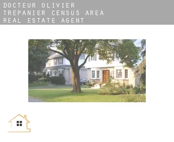 Docteur-Olivier-Trépanier (census area)  real estate agent