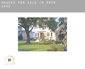 Houses for sale in  Deer Lake