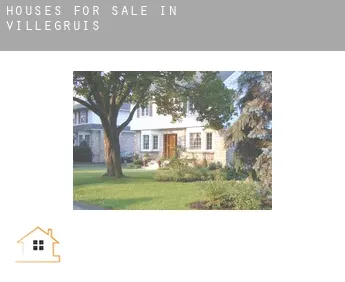 Houses for sale in  Villegruis