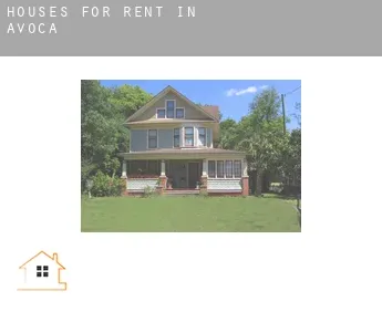 Houses for rent in  Avoca