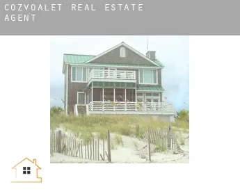 Cozvoalet  real estate agent