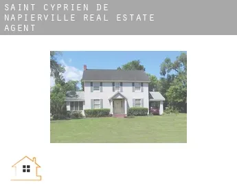 Saint-Cyprien-de-Napierville  real estate agent