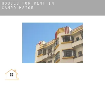 Houses for rent in  Campo Maior