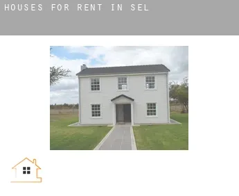 Houses for rent in  Sel