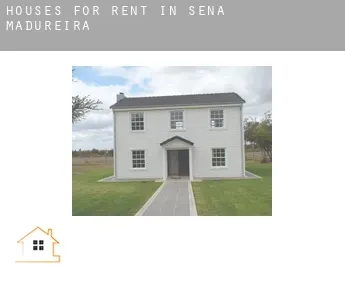 Houses for rent in  Sena Madureira